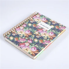 Iris Bullet faoi cheangal bíseach